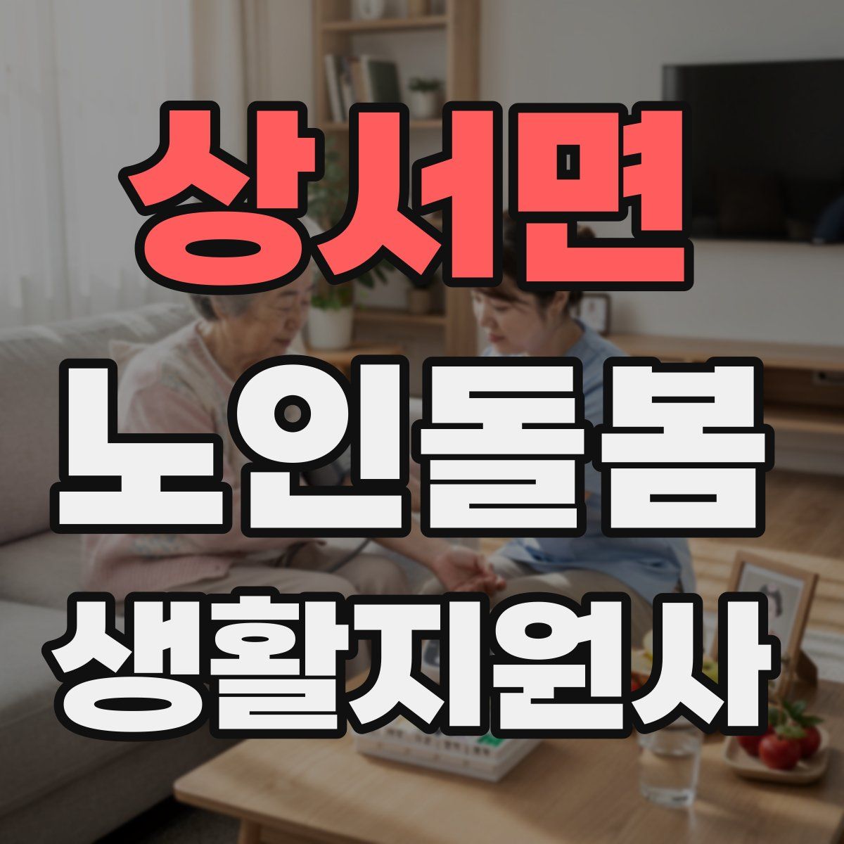 상서면 노인돌봄생활지원사 자격증