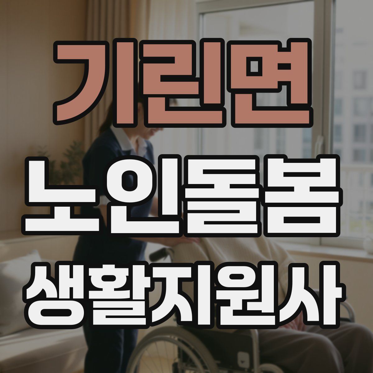 기린면 노인돌봄생활지원사 자격증