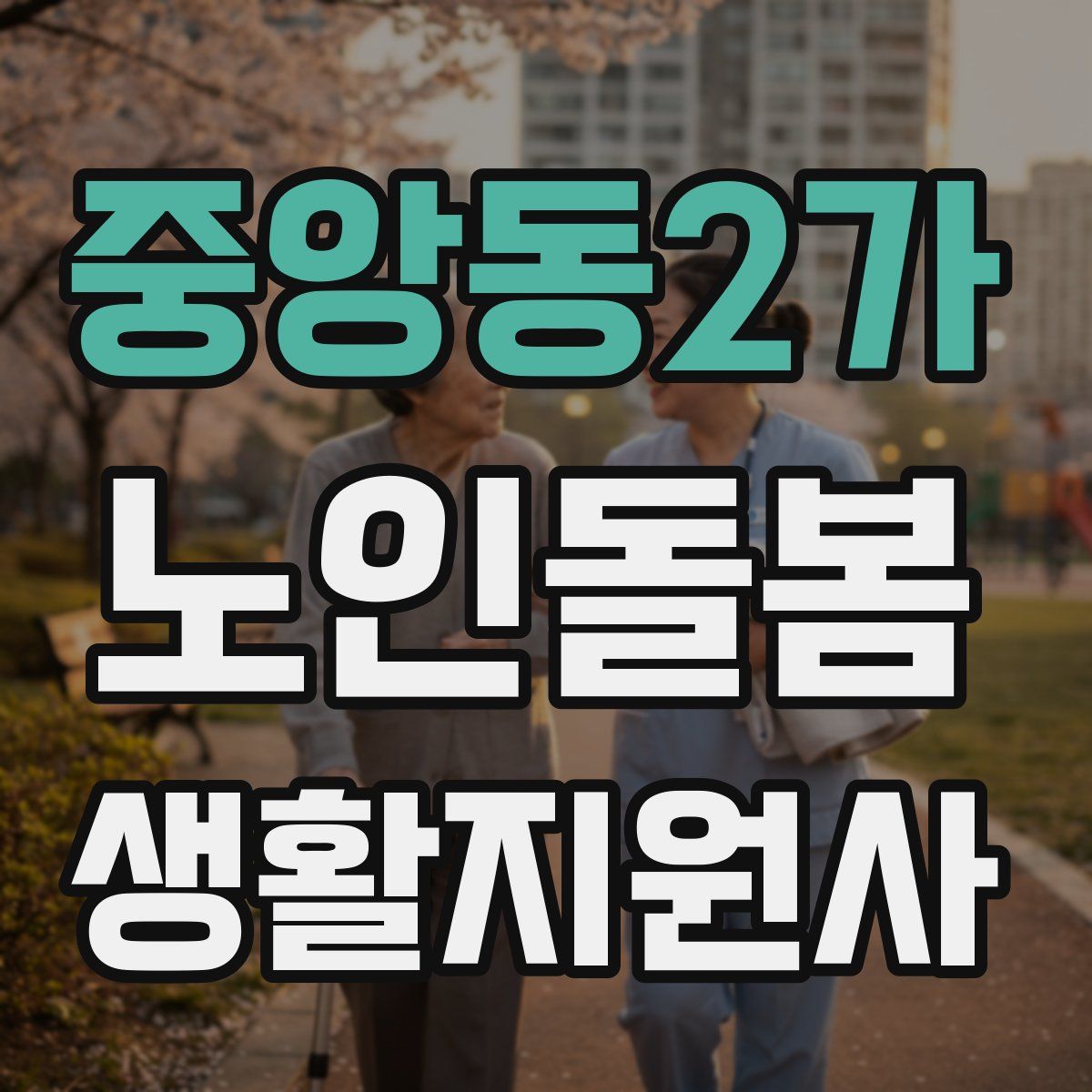 중앙동2가 노인돌봄생활지원사 자격증