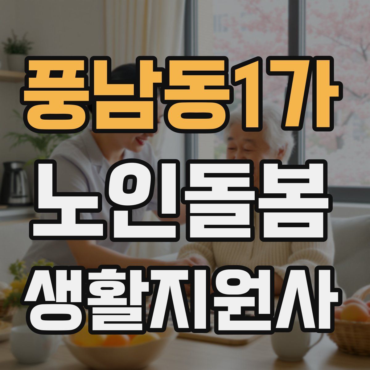풍남동1가 노인돌봄생활지원사 자격증