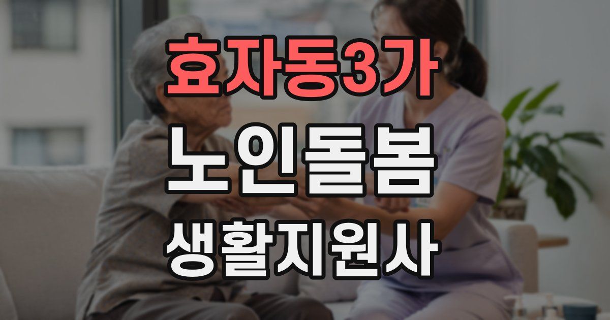 효자동3가 노인돌봄생활지원사 자격증