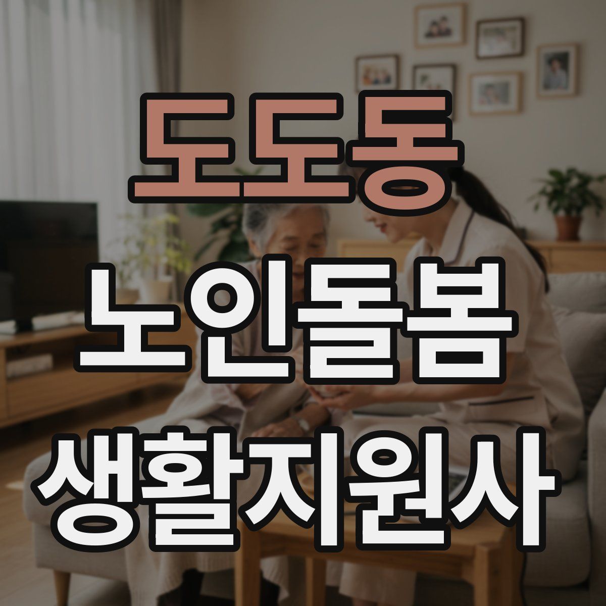 도도동 노인돌봄생활지원사 자격증