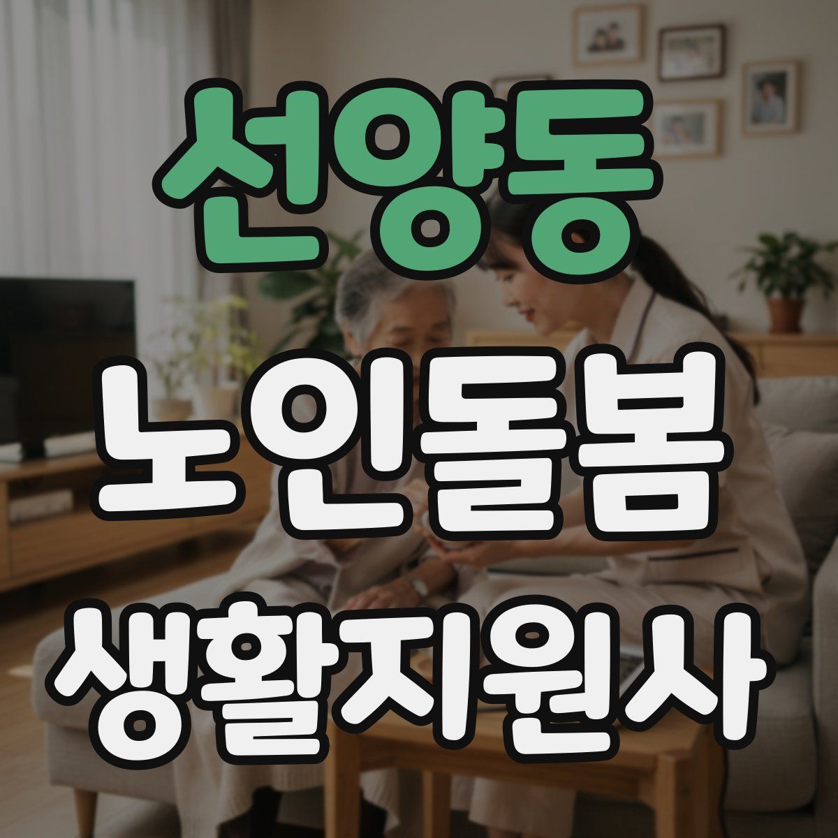 선양동 노인돌봄생활지원사 자격증