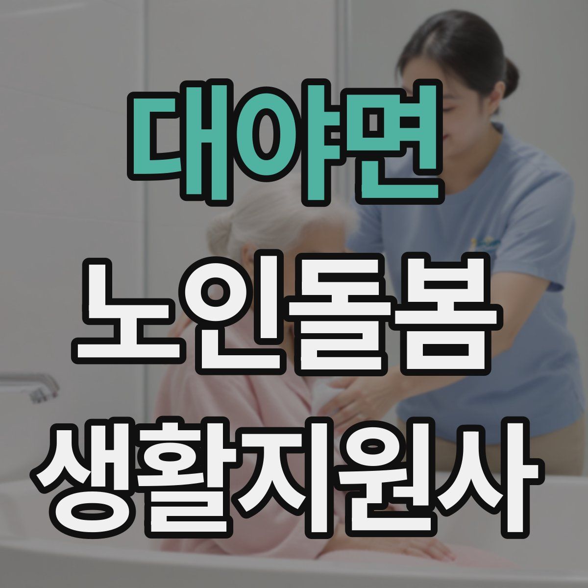 대야면 노인돌봄생활지원사 자격증