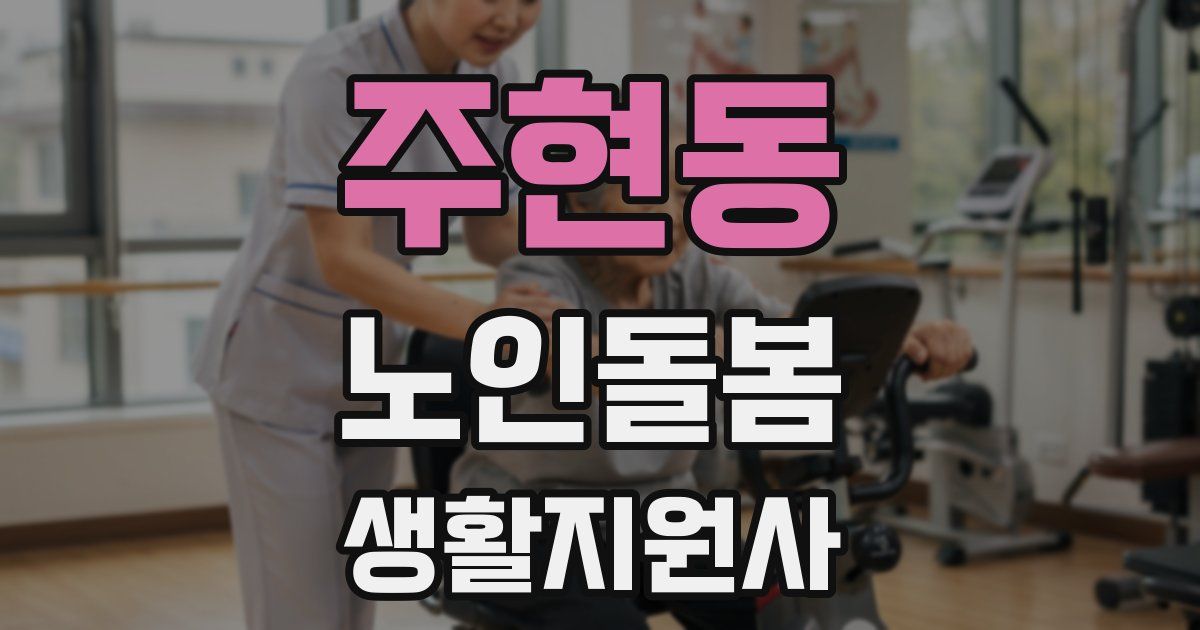 주현동 노인돌봄생활지원사 자격증