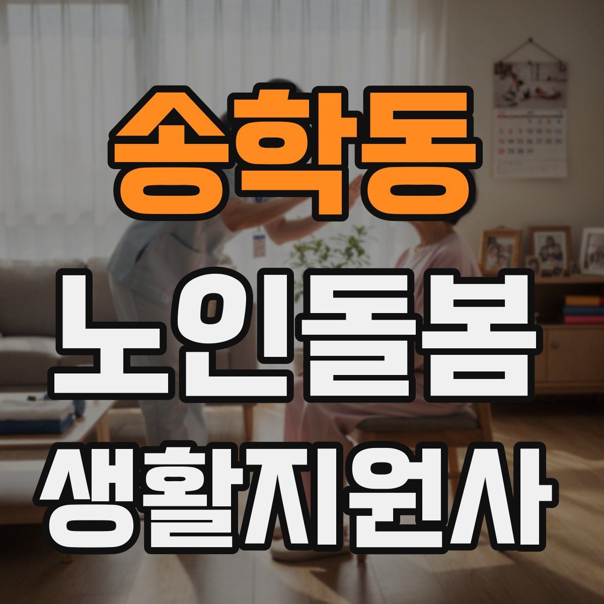 송학동 노인돌봄생활지원사 자격증