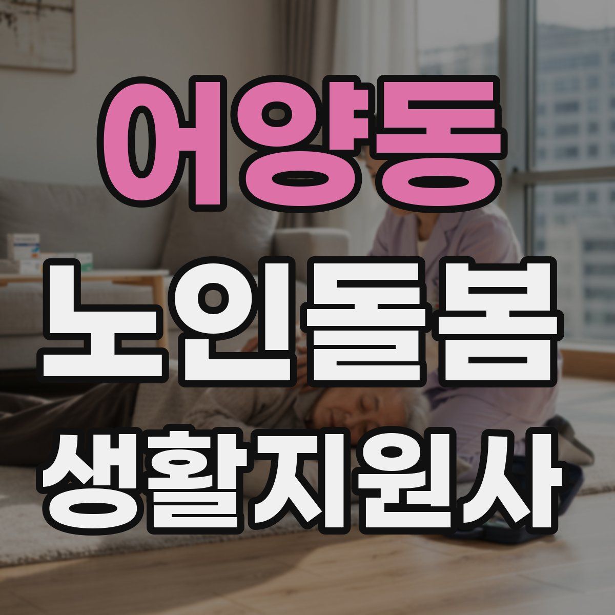어양동 노인돌봄생활지원사 자격증