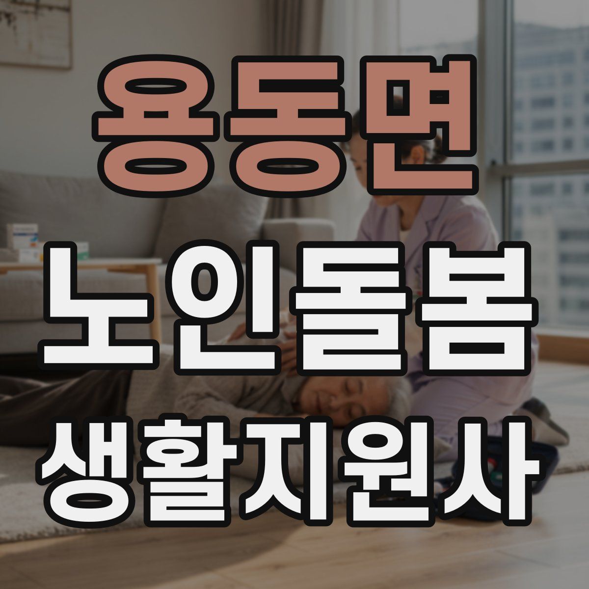 용동면 노인돌봄생활지원사 자격증