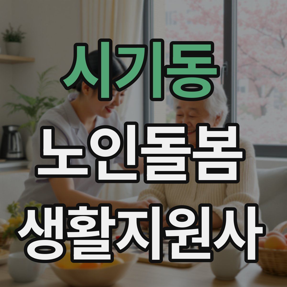 시기동 노인돌봄생활지원사 자격증