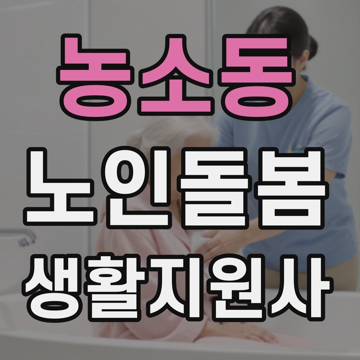 농소동 노인돌봄생활지원사 자격증 복약 정보를 확인하는 방법 정리