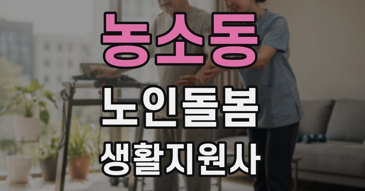 농소동 노인돌봄생활지원사 자격증