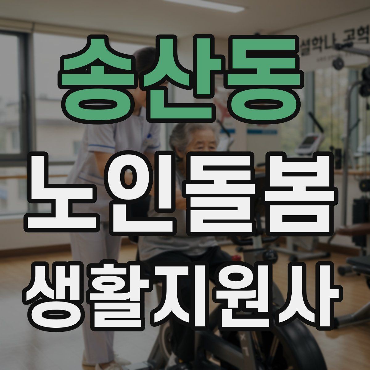 송산동 노인돌봄생활지원사 자격증 나에게 맞는 활동 스타일 찾는 방법