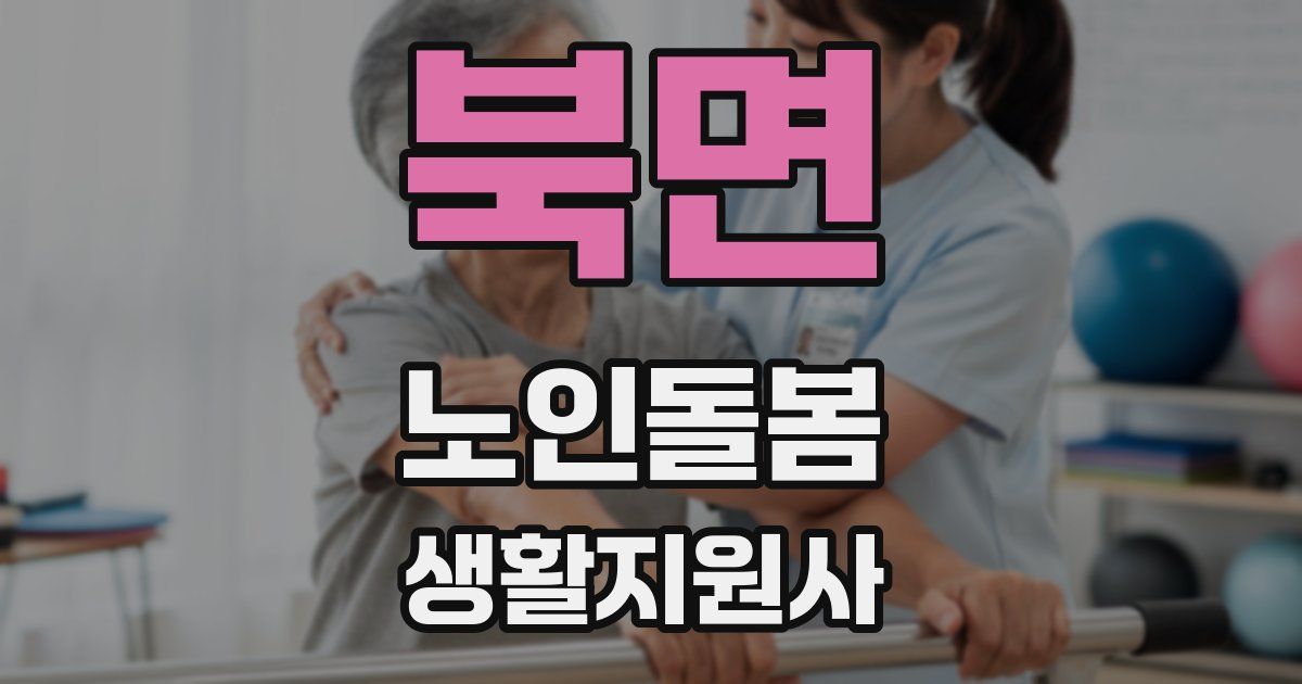 북면 노인돌봄생활지원사 자격증
