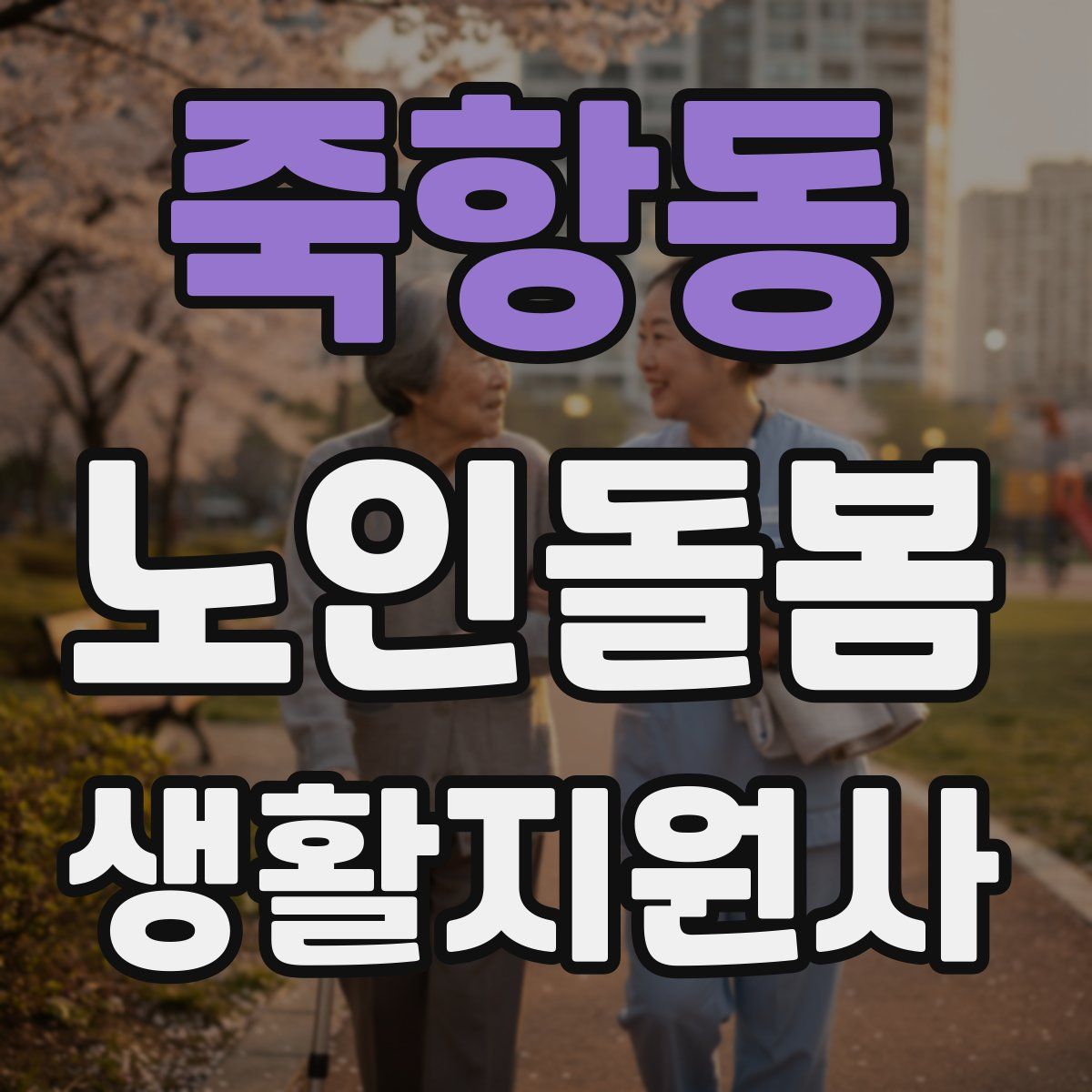 죽항동 노인돌봄생활지원사 자격증