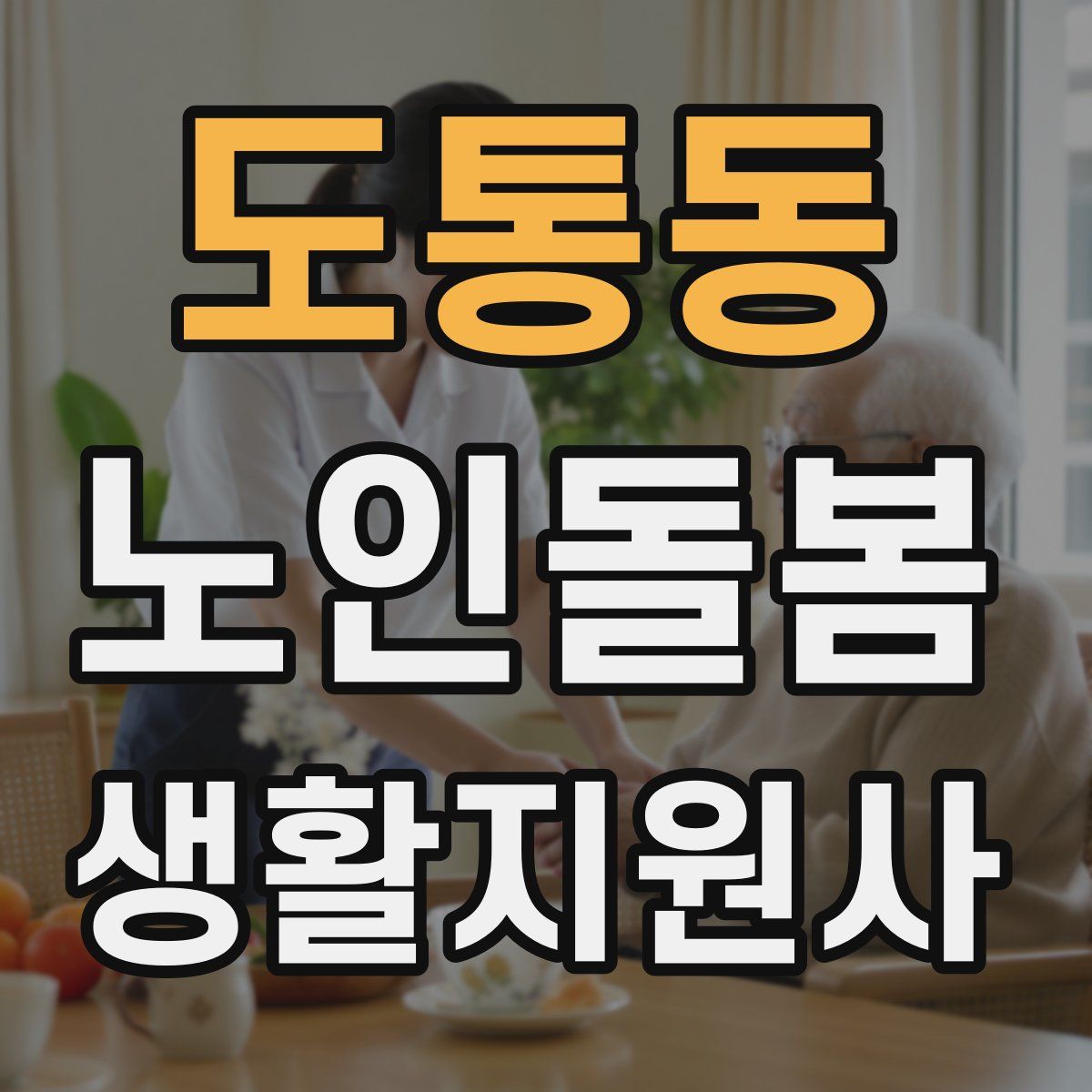 도통동 노인돌봄생활지원사 자격증