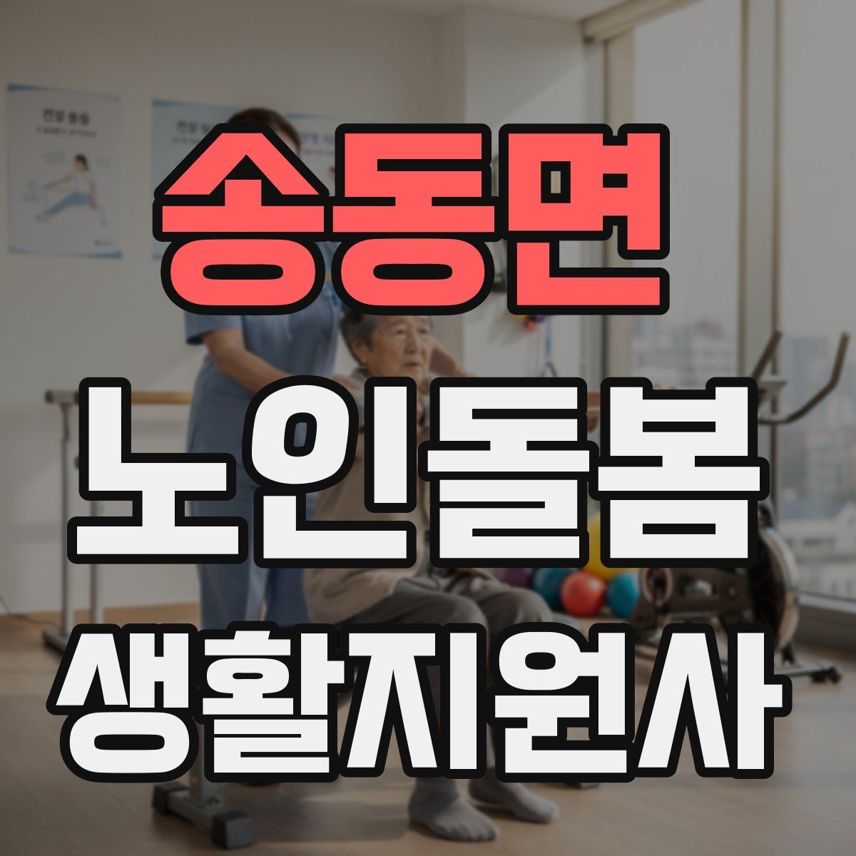 송동면 노인돌봄생활지원사 자격증