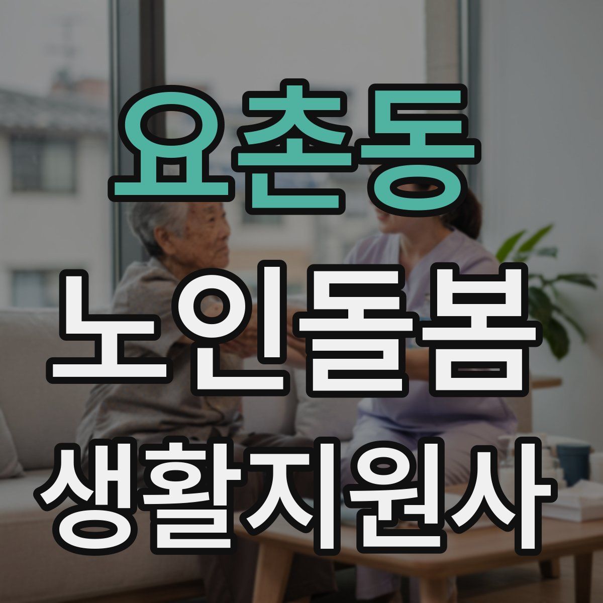 요촌동 노인돌봄생활지원사 자격증