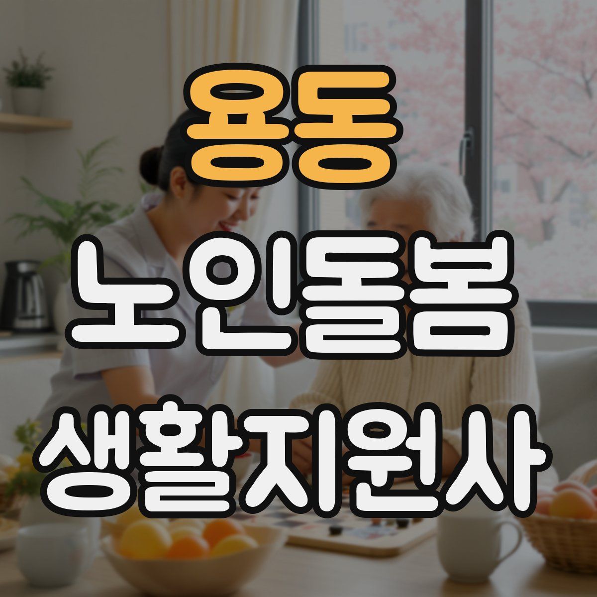 용동 노인돌봄생활지원사 자격증