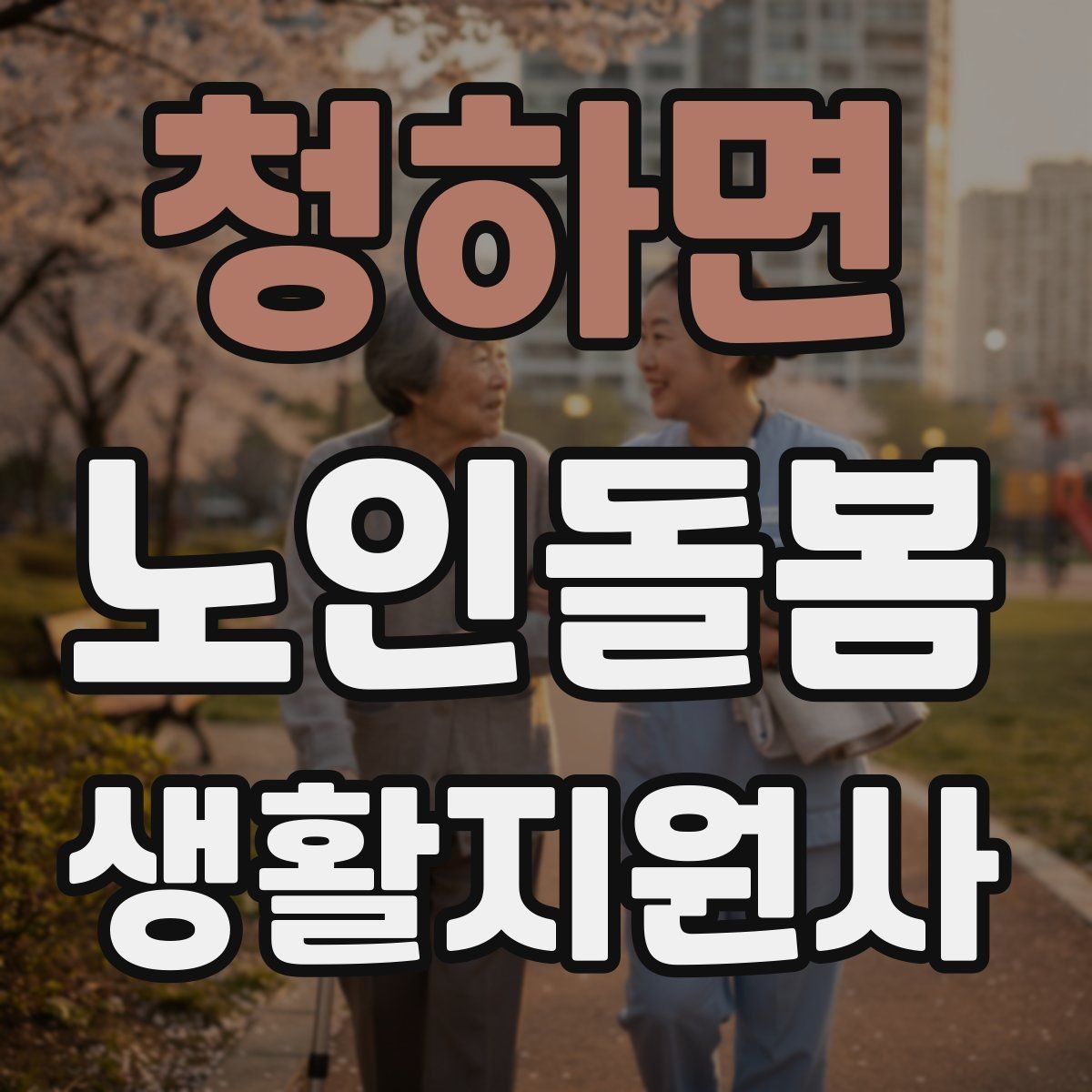 청하면 노인돌봄생활지원사 자격증 약 보관 위치를 정리하는 방법