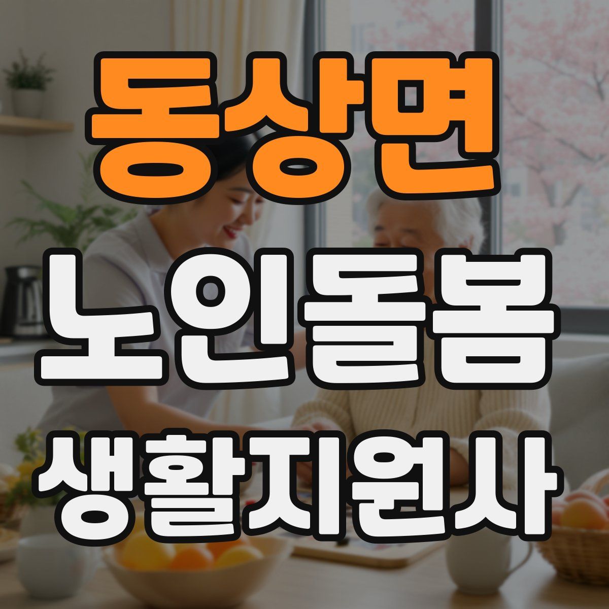 동상면 노인돌봄생활지원사 자격증
