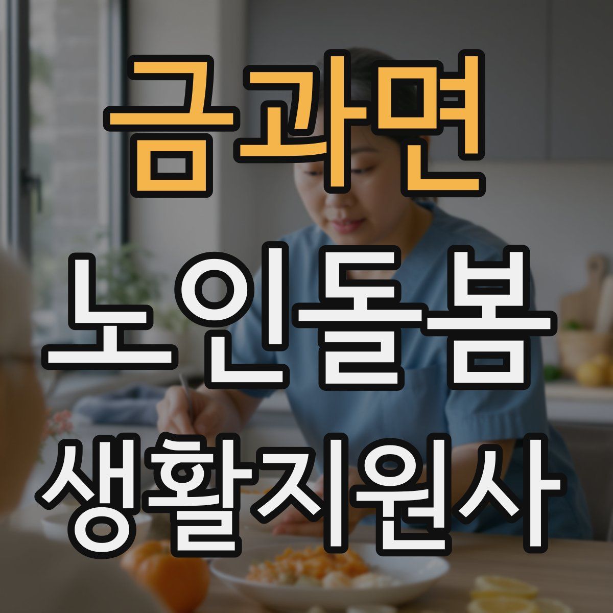 금과면 노인돌봄생활지원사 자격증