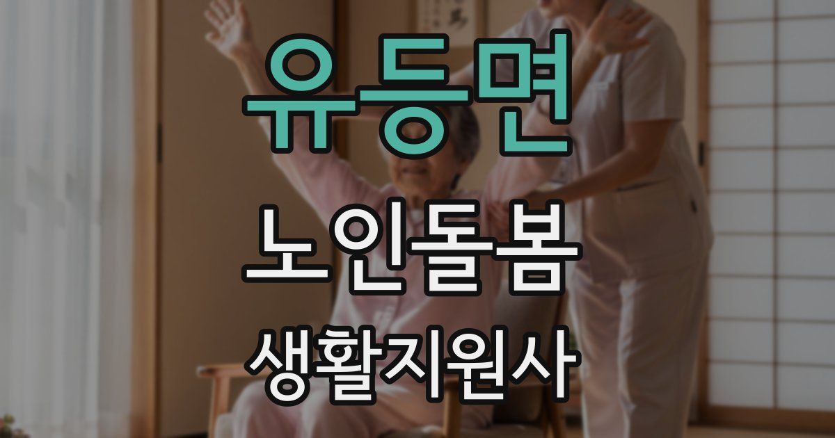 유등면 노인돌봄생활지원사 자격증