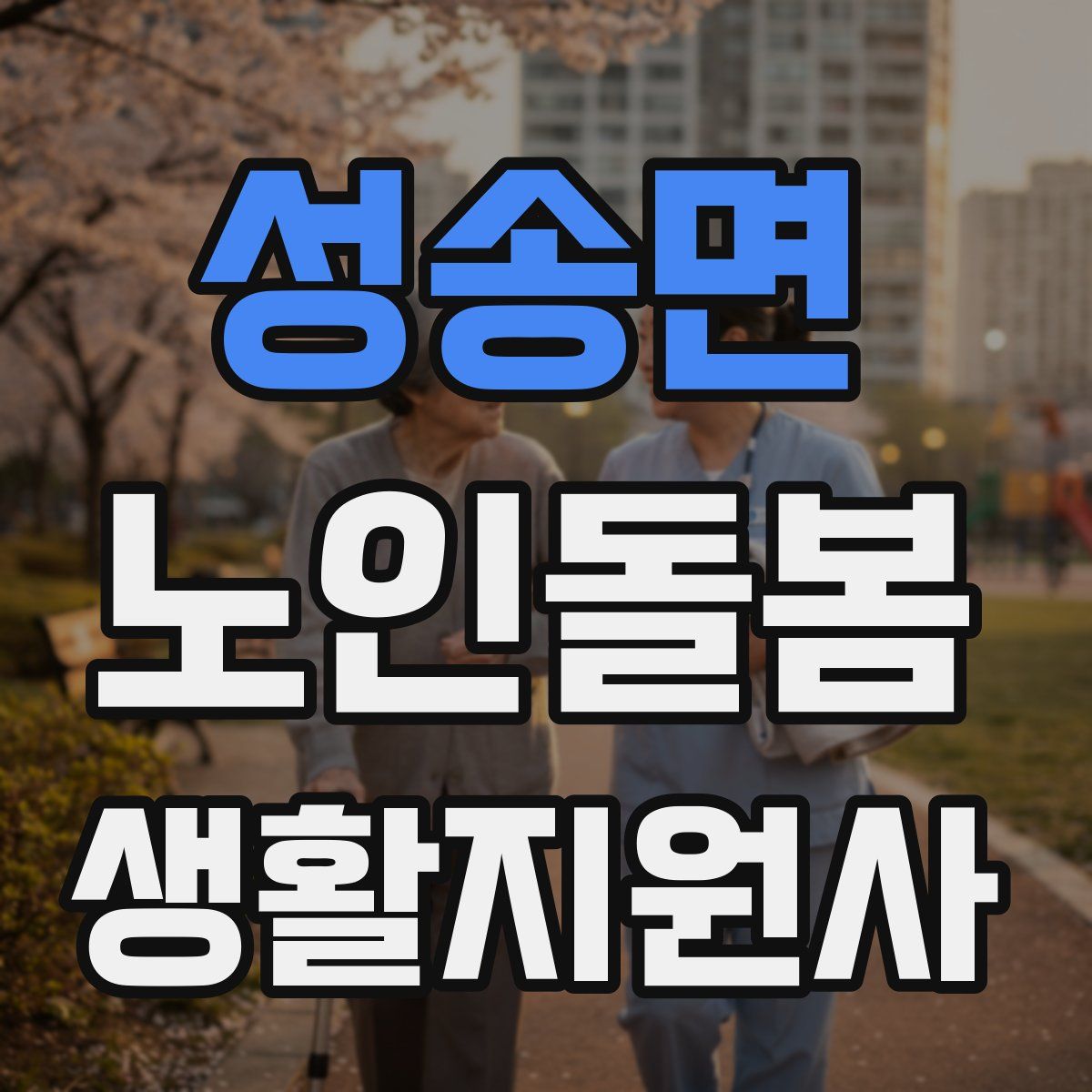 성송면 노인돌봄생활지원사 자격증
