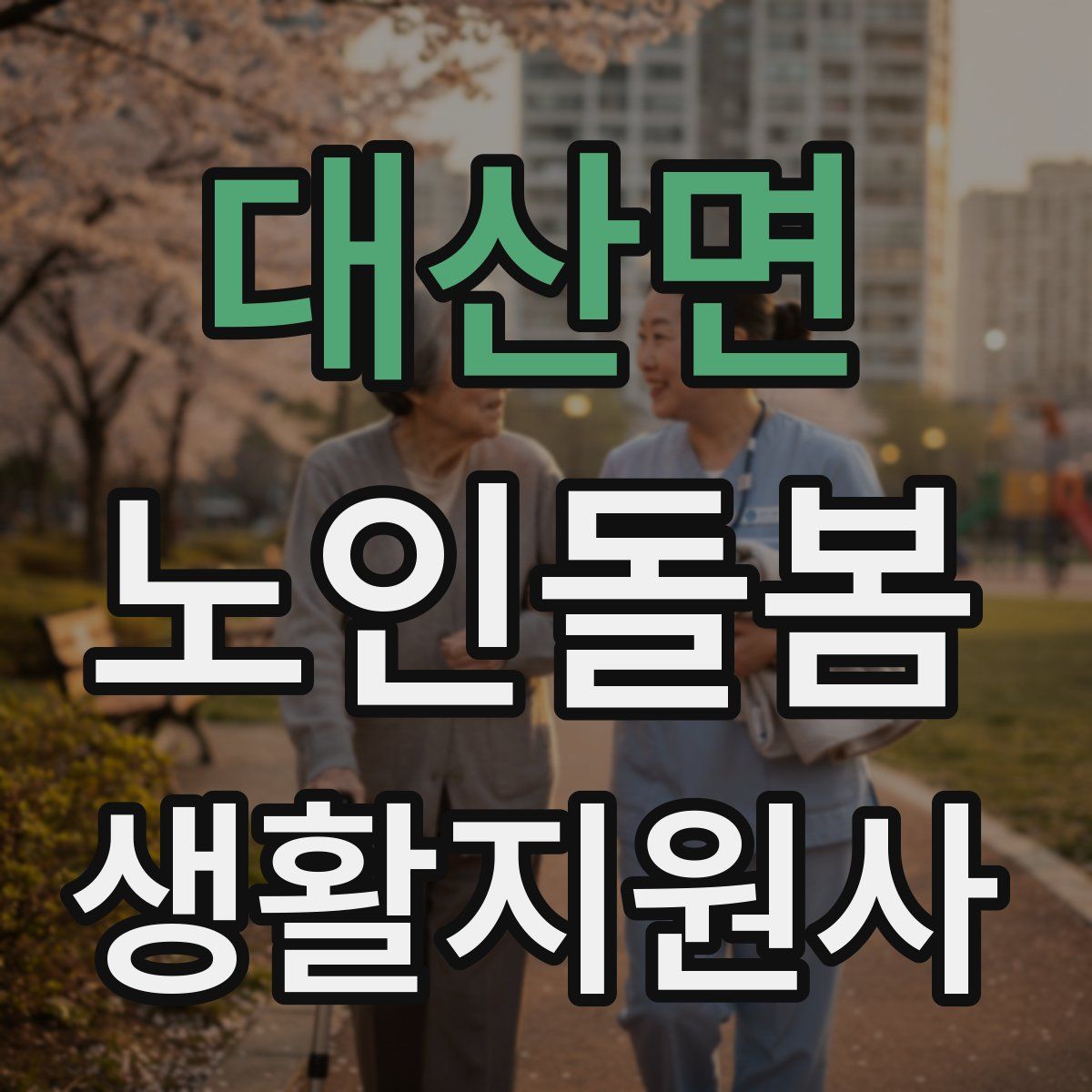 대산면 노인돌봄생활지원사 자격증