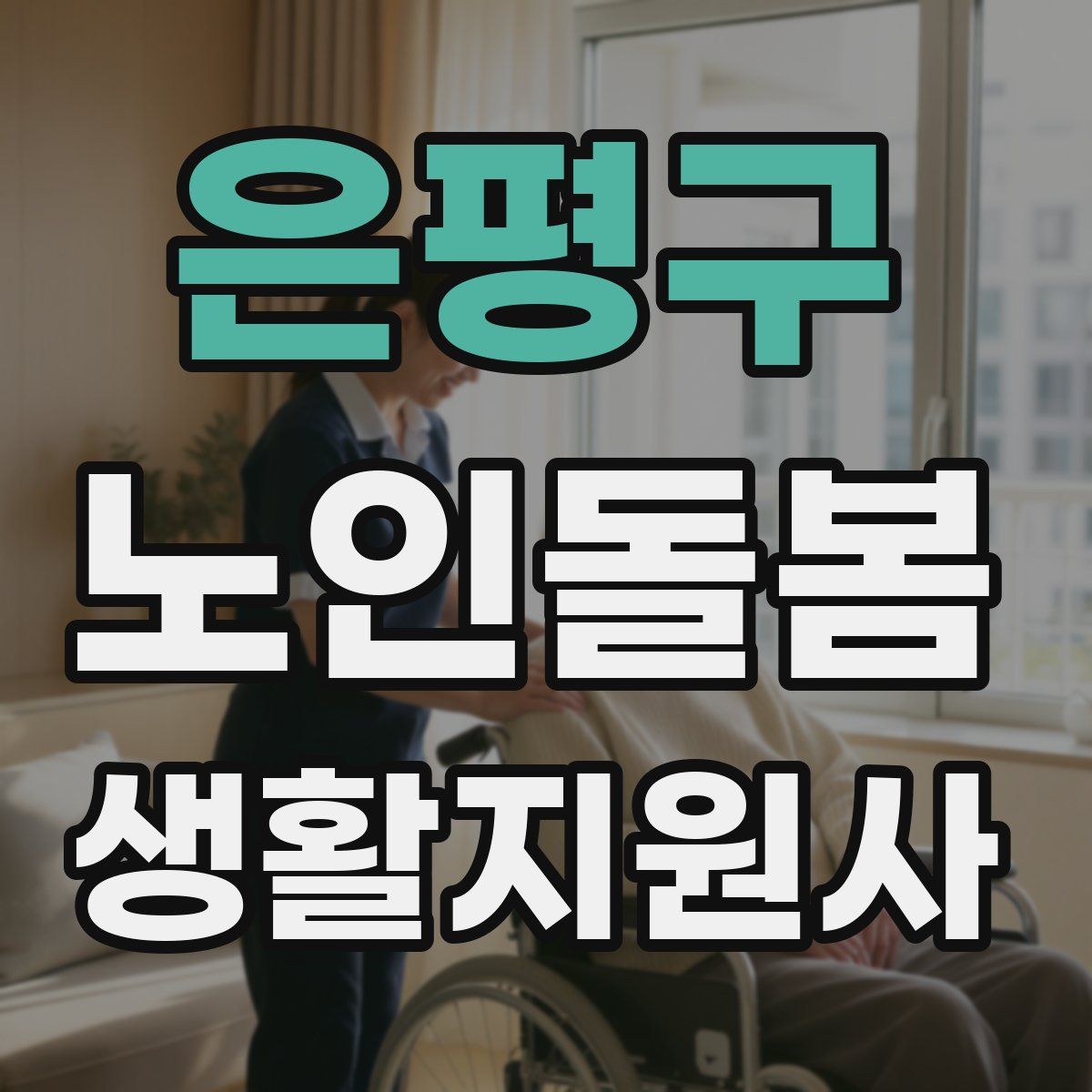 은평구 노인돌봄생활지원사 자격증