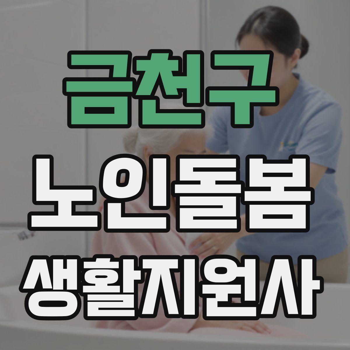 금천구 노인돌봄생활지원사 자격증