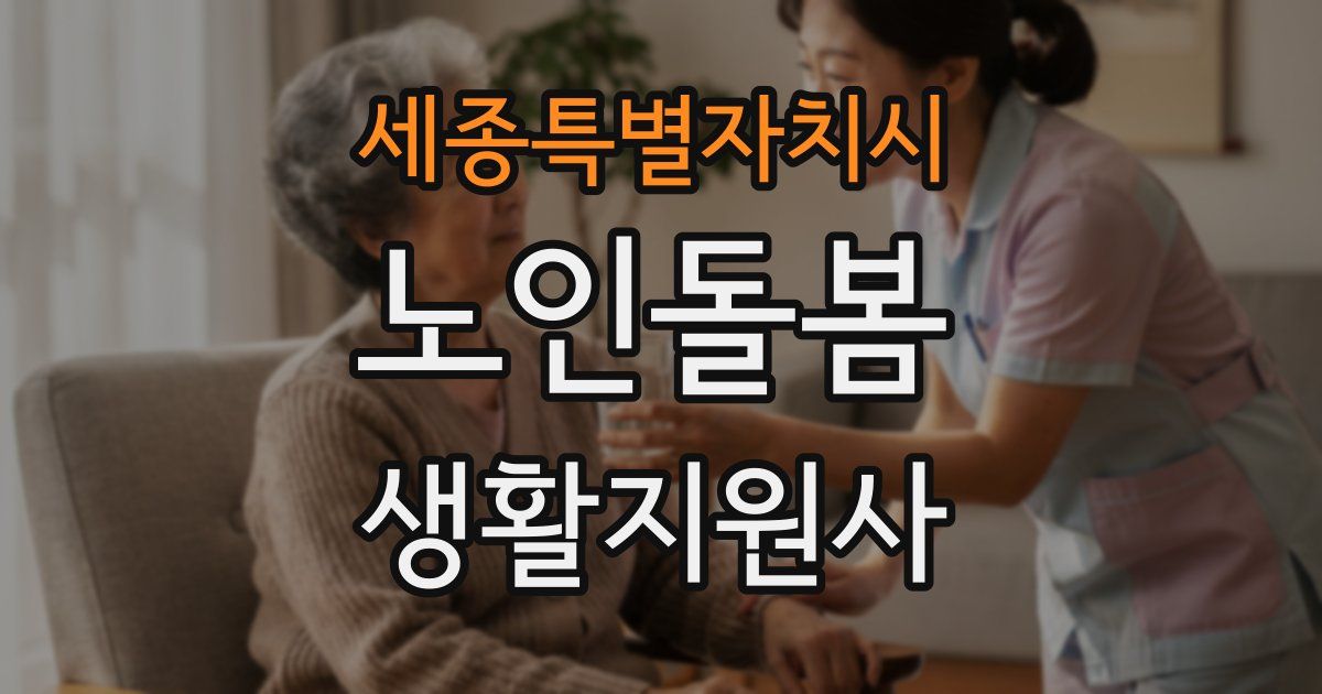 세종특별자치시 노인돌봄생활지원사 자격증