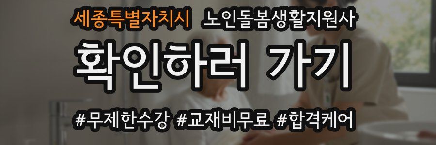 세종특별자치시 노인돌봄생활지원사 자격증
