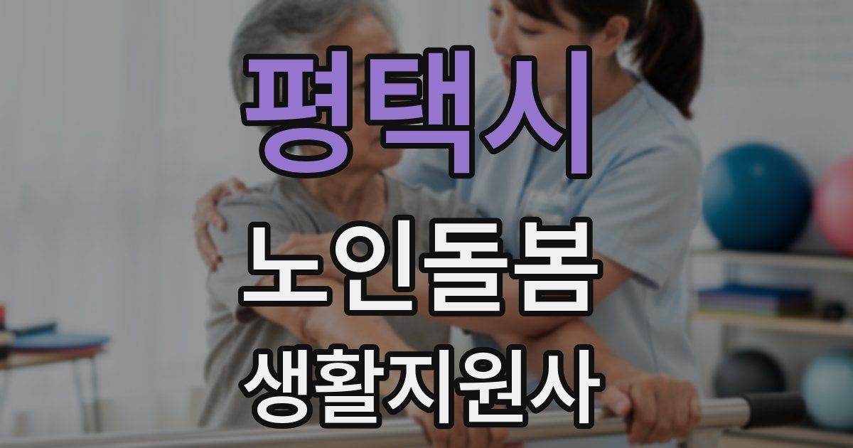 평택시 노인돌봄생활지원사 자격증