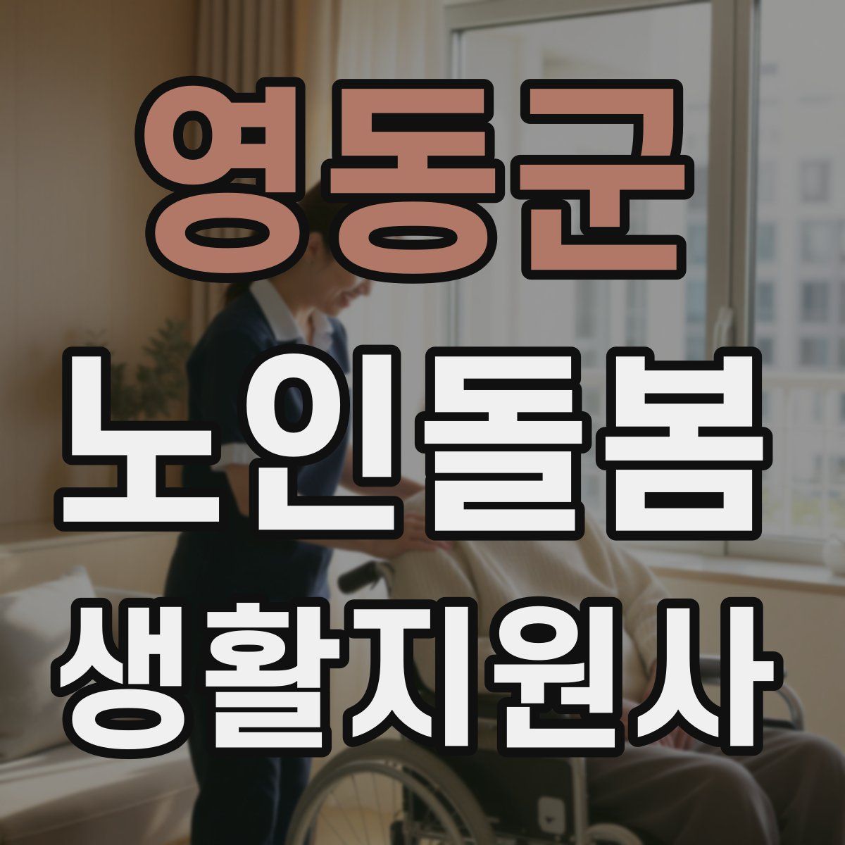 영동군 노인돌봄생활지원사 자격증