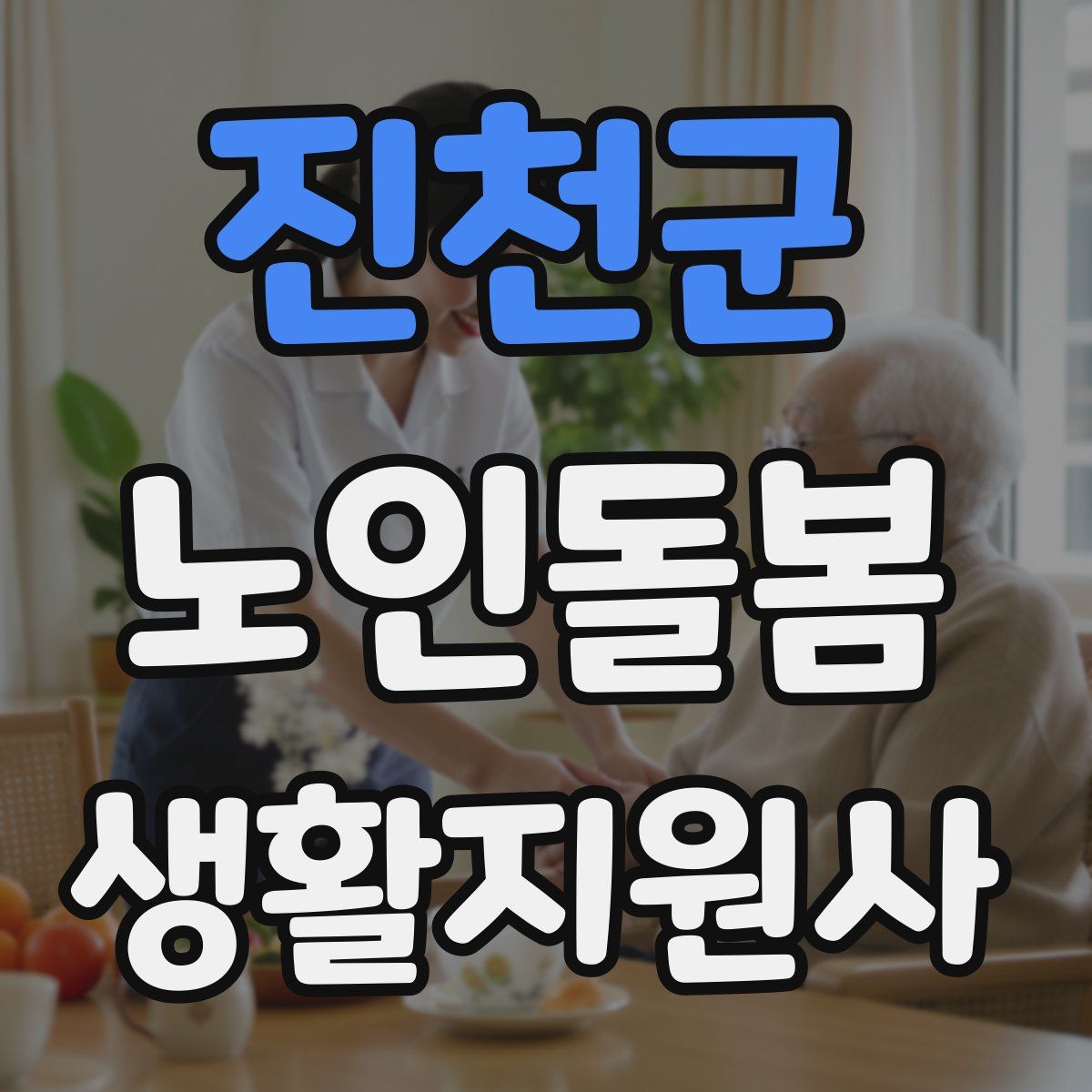 진천군 노인돌봄생활지원사 자격증
