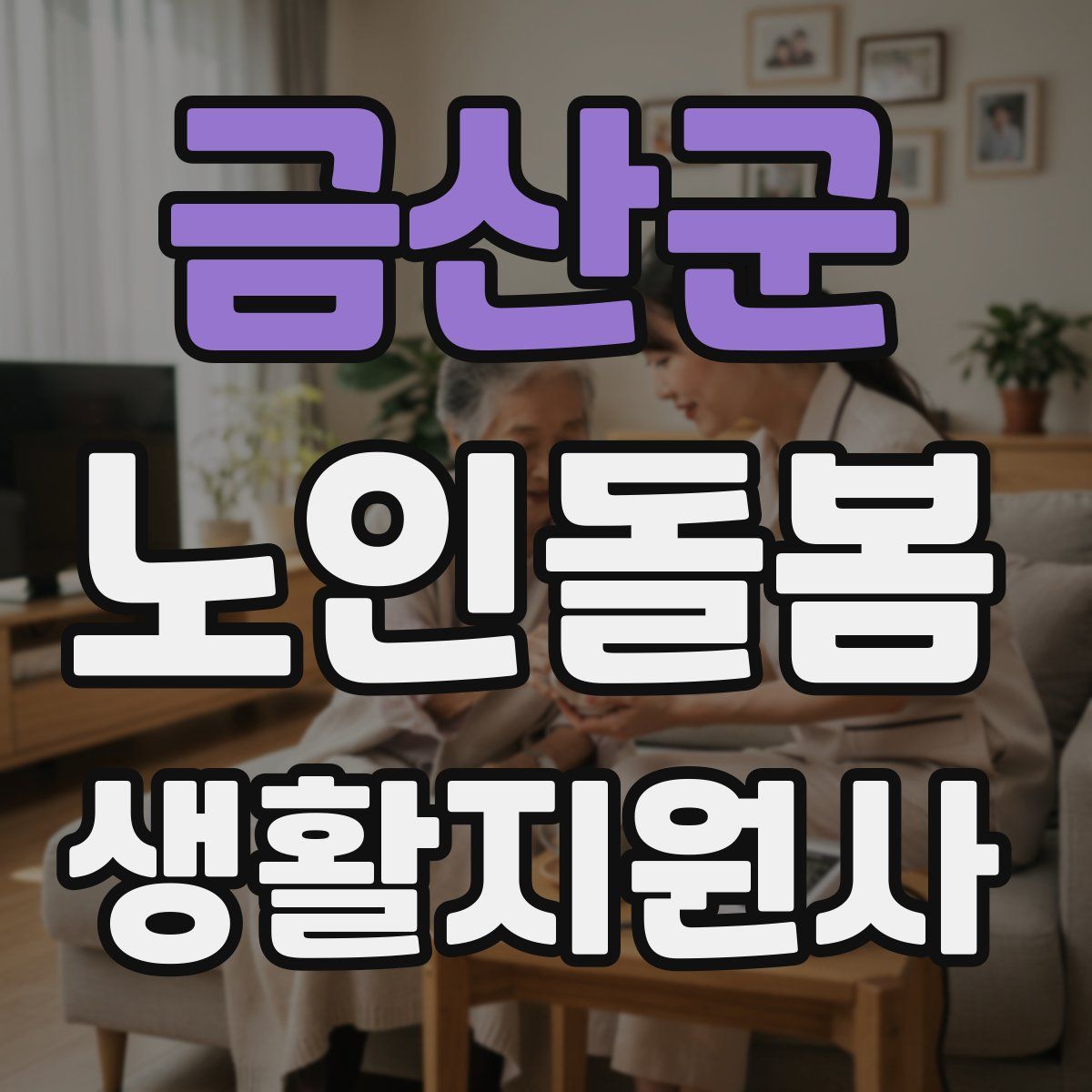 금산군 노인돌봄생활지원사 자격증