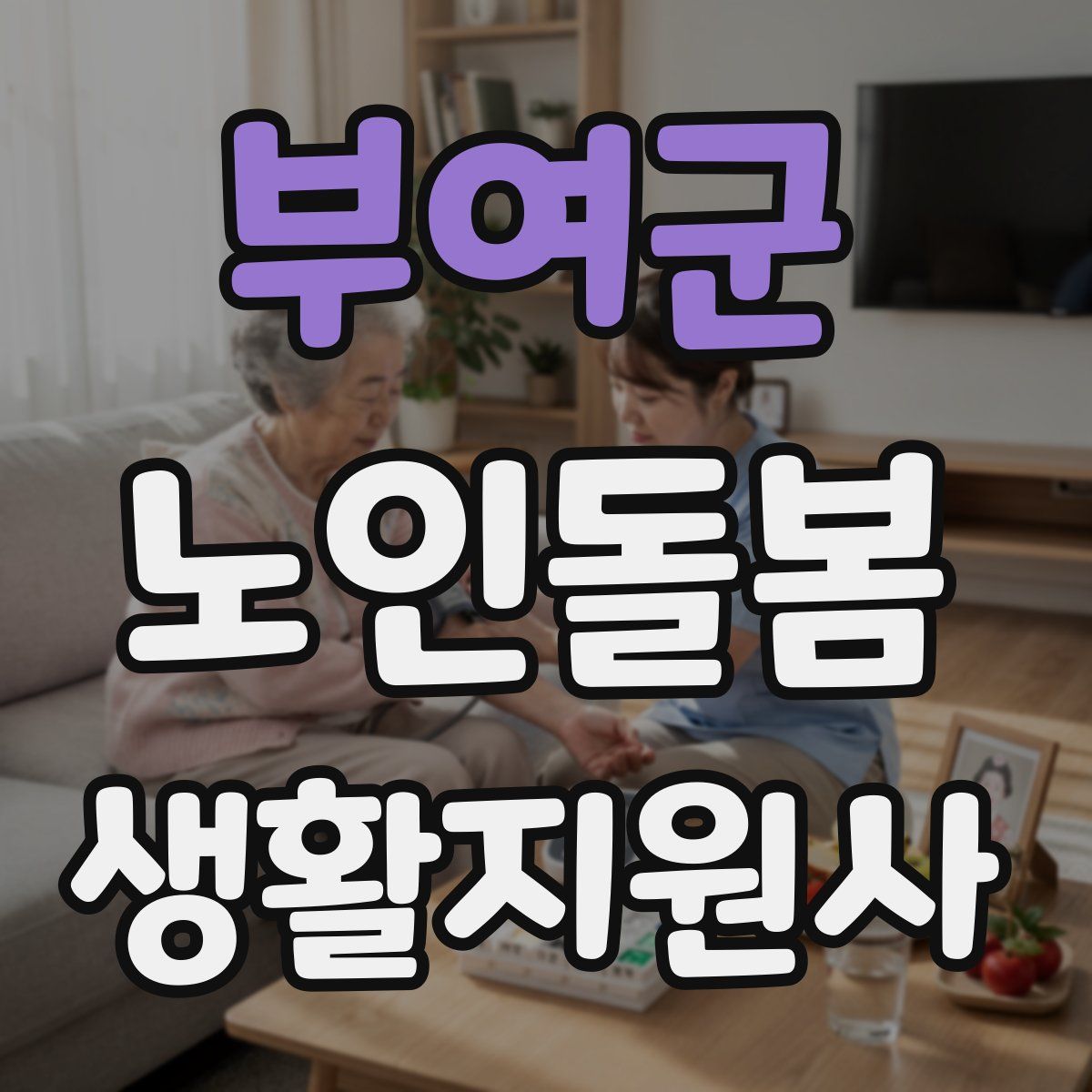 부여군 노인돌봄생활지원사 자격증