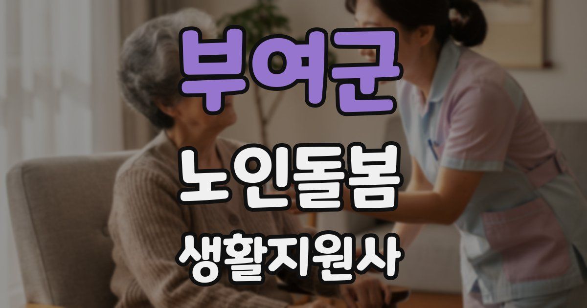부여군 노인돌봄생활지원사 자격증