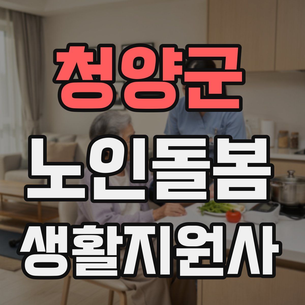 청양군 노인돌봄생활지원사 자격증