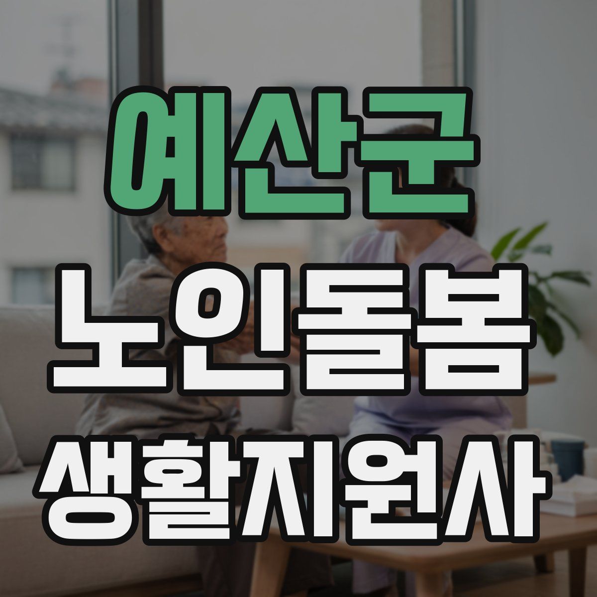 예산군 노인돌봄생활지원사 자격증