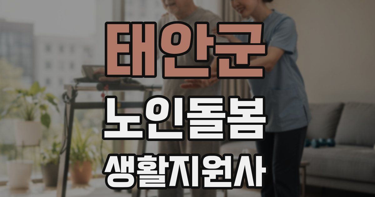 태안군 노인돌봄생활지원사 자격증