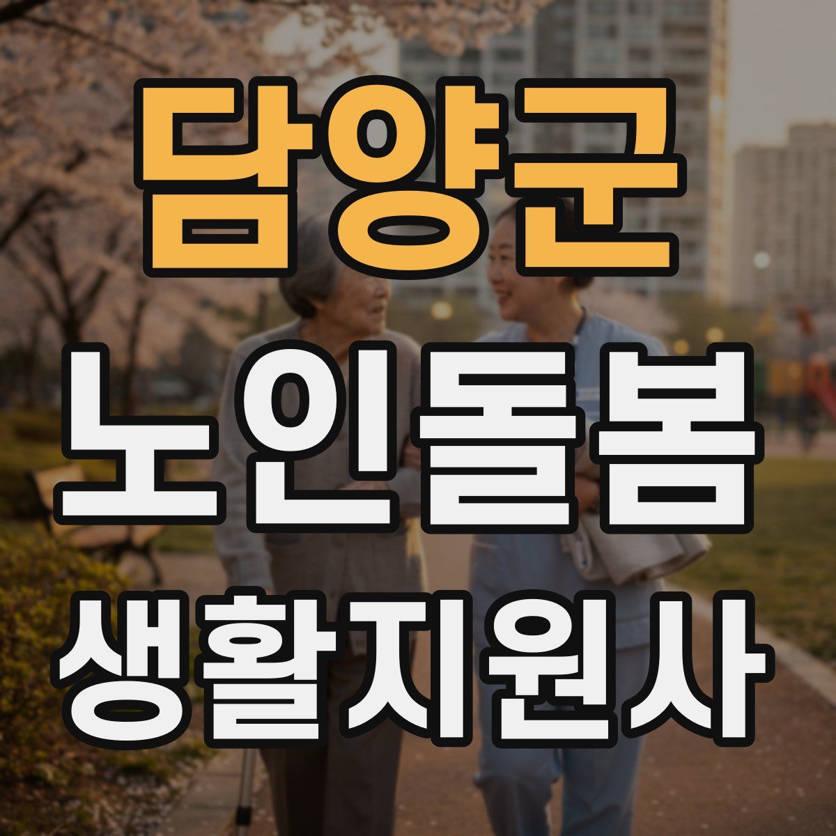 담양군 노인돌봄생활지원사 자격증