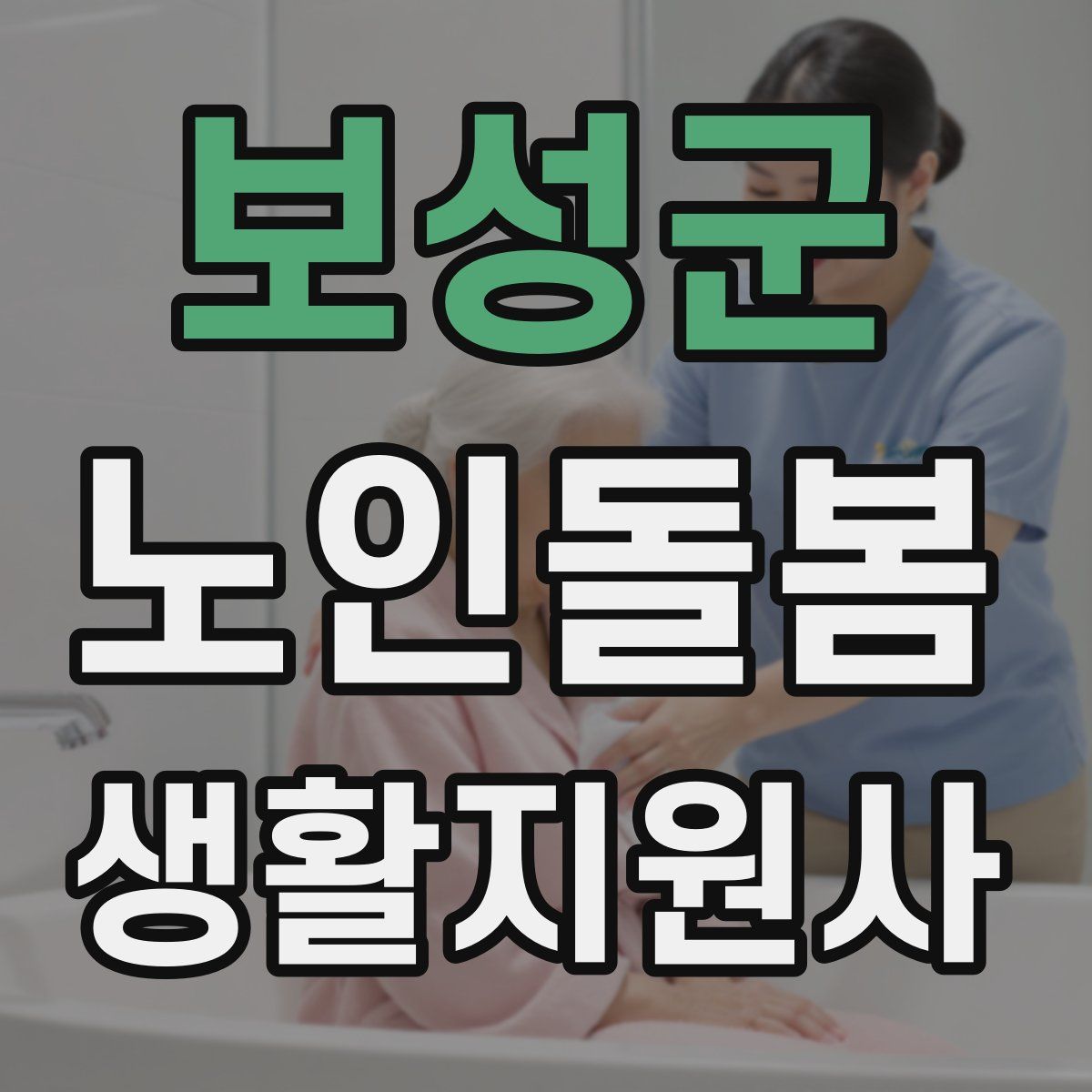보성군 노인돌봄생활지원사 자격증