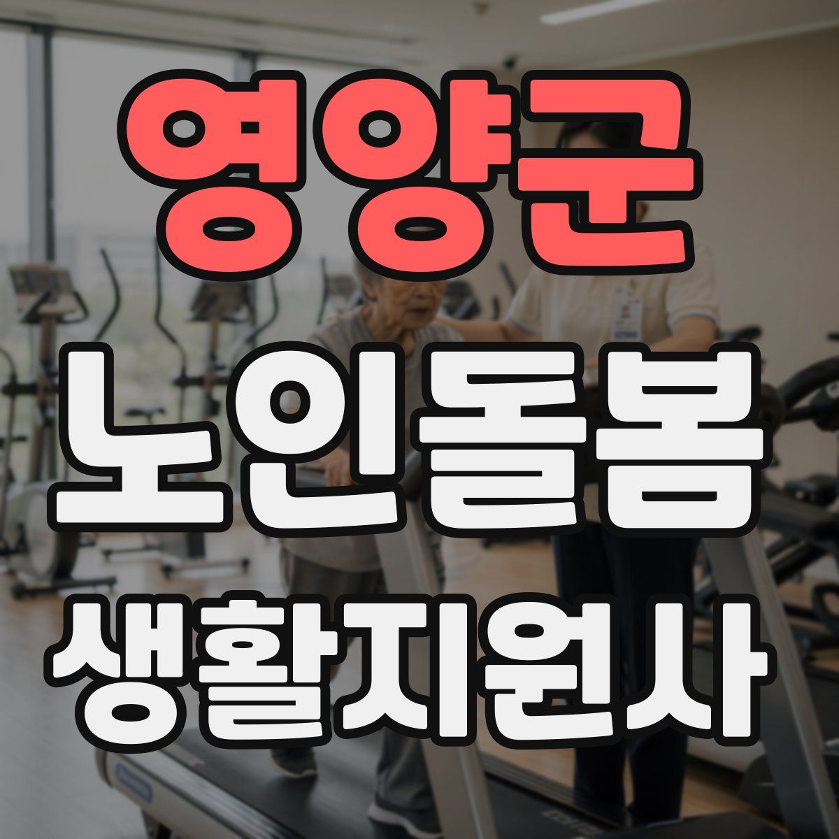 영양군 노인돌봄생활지원사 자격증