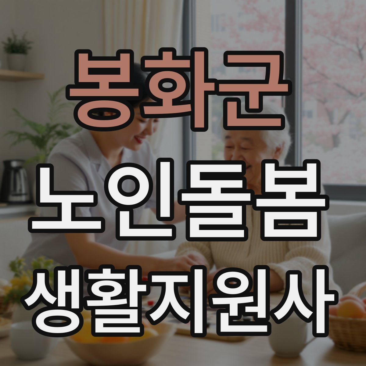 봉화군 노인돌봄생활지원사 자격증