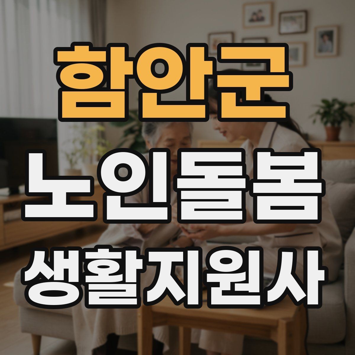 함안군 노인돌봄생활지원사 자격증 상처 멍 출혈 발생 시 초기 대응