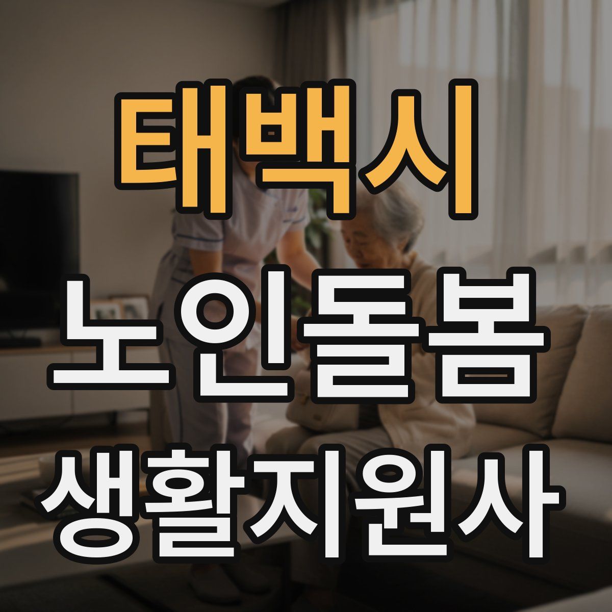 태백시 노인돌봄생활지원사 자격증