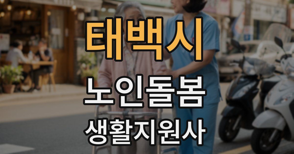 태백시 노인돌봄생활지원사 자격증