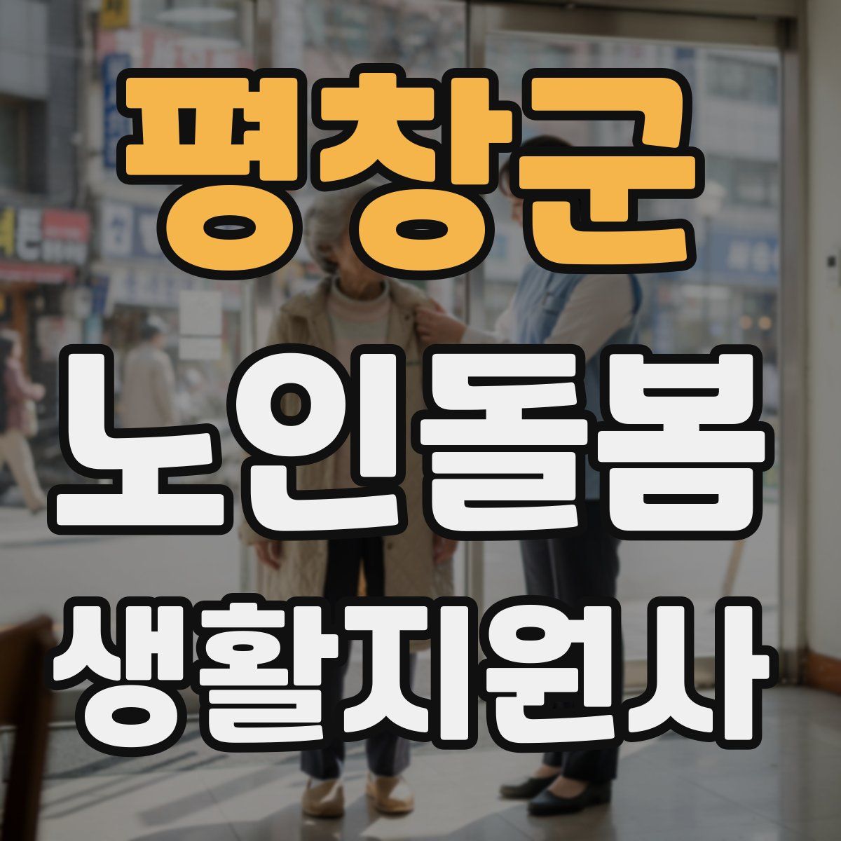 평창군 노인돌봄생활지원사 자격증