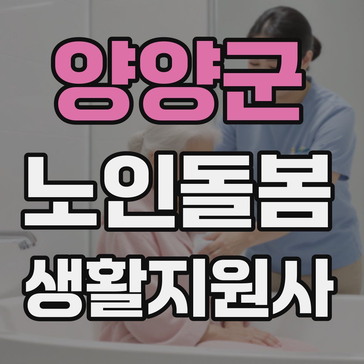 양양군 노인돌봄생활지원사 자격증